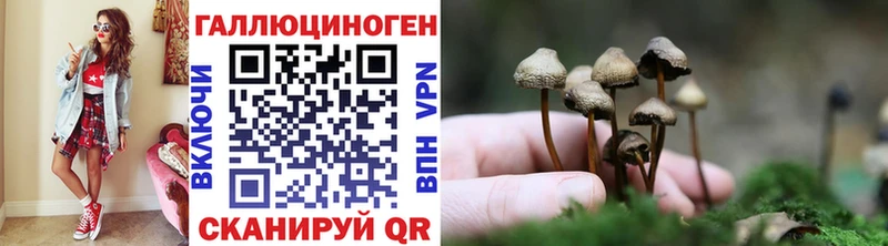 даркнет сайт  Курск  kraken вход  Псилоцибиновые грибы MAGIC MUSHROOMS 